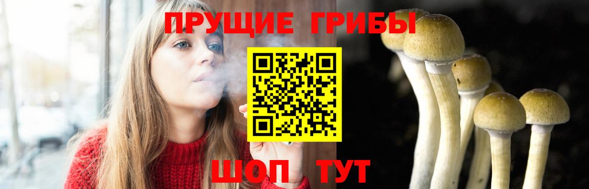 Галлюциногенные грибы MAGIC MUSHROOMS Орёл