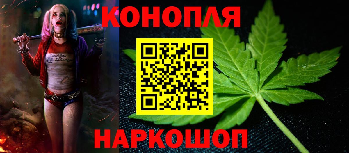 Бошки Шишки ГИДРОПОН Орёл